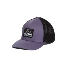 Adult The North Face Truckee Flexfit Hat